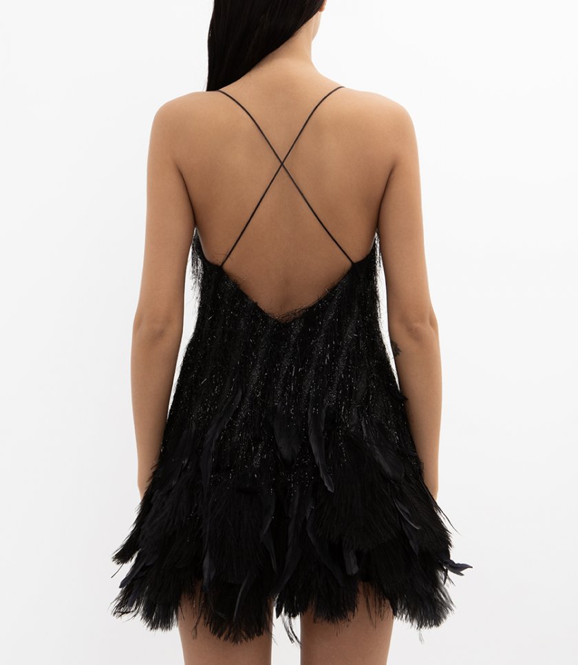 DRESS WITH FEATHERS